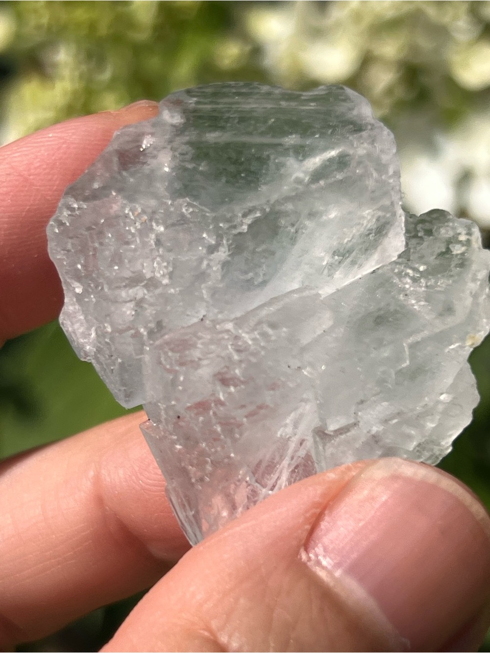 Fluorite (1) specimen with stand | crystal
